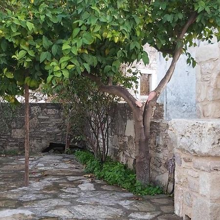 Small Traditional House In Asfendiou Kos Agios Dimitrios  Dış mekan fotoğraf