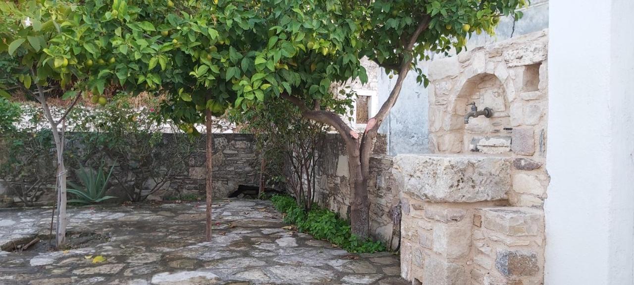 Small Traditional House In Asfendiou Kos Agios Dimitrios  Dış mekan fotoğraf